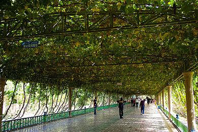 《剑网3》宣布联动《喜羊羊与灰太狼》 儿童节上线